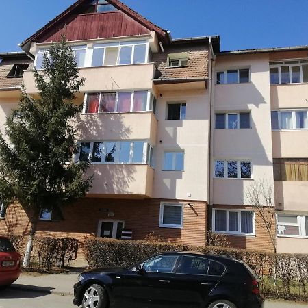 Studio Acasa Sibiu Luaran gambar